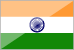 Hindistan 1. Ligi
