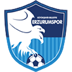 Erzurumspor FK